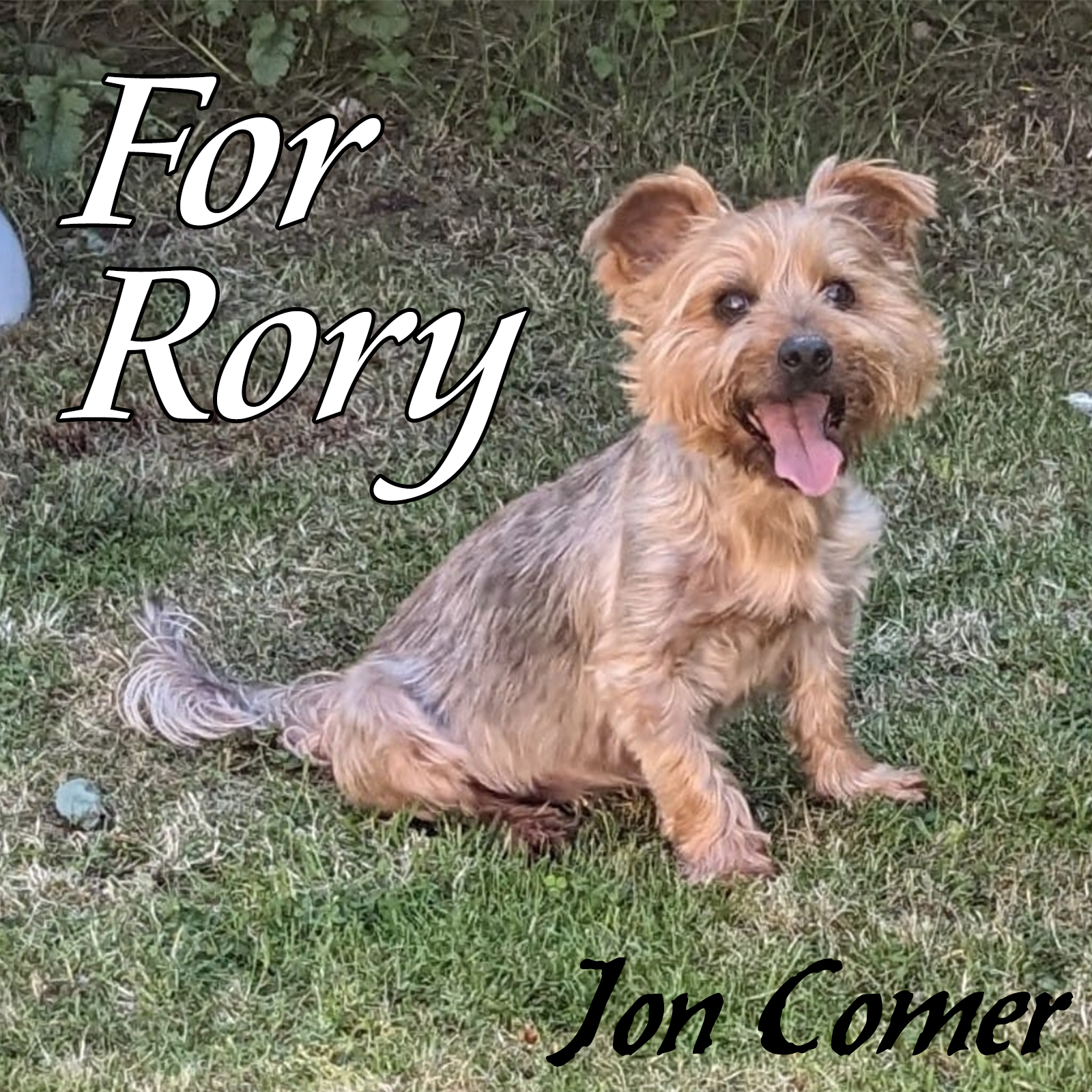 For Rory Cover Art